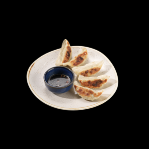GYOZA S PILETINOM
